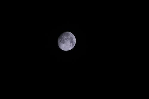 Grauer Runder Mond Während Der Nacht