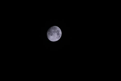 Free Kostnadsfri bild av måne, mörk, natt Stock Photo