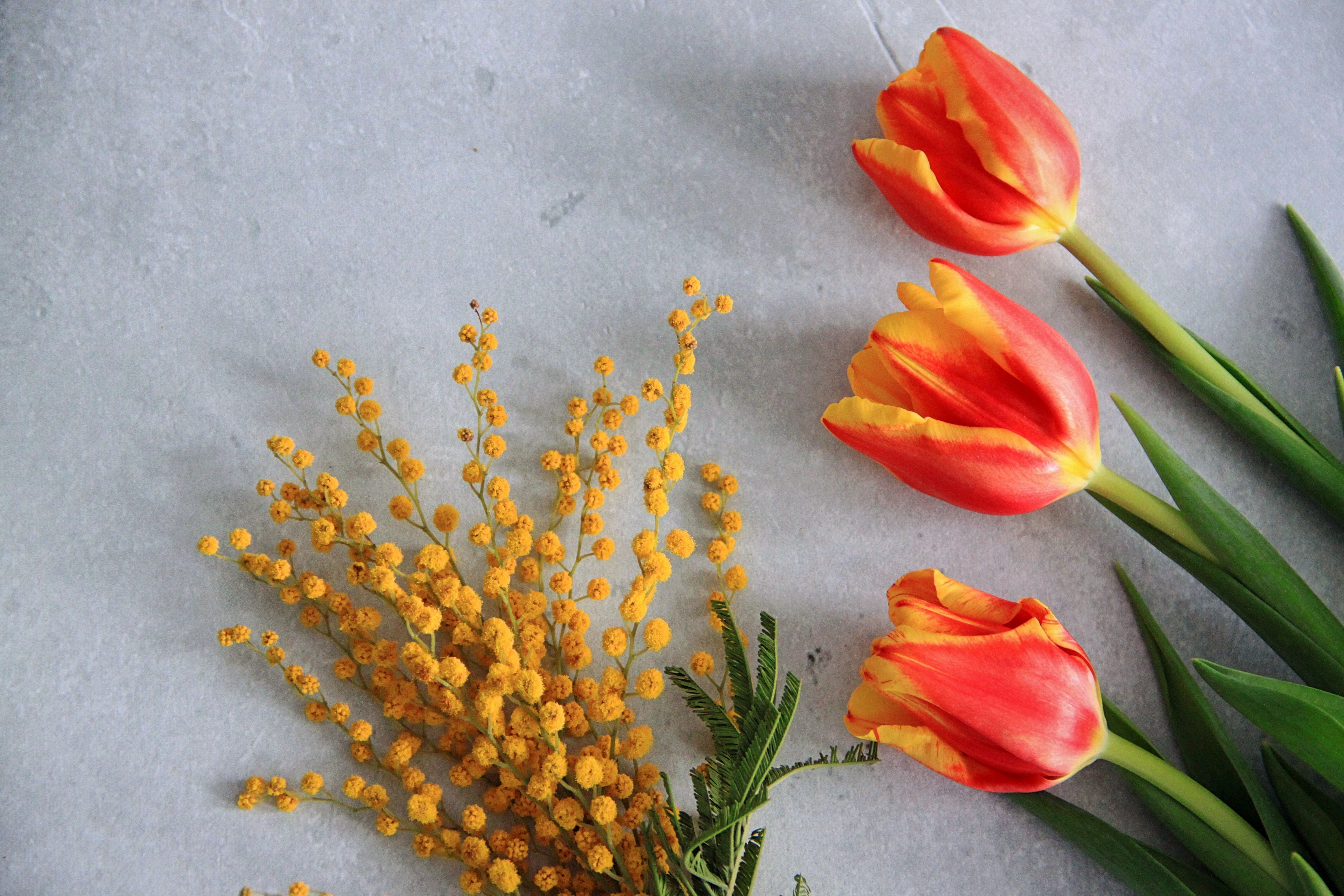 Spring mimosa and tulip arrangement for International Women's Day, hand-delivered in the UK