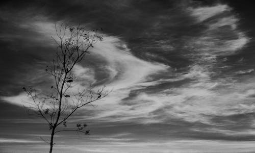 Free stock photo of cloud, cloud formation, monochrome Stock Photo