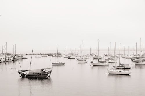 Fotos de stock gratuitas de barcos, embarcaciones, escala de grises