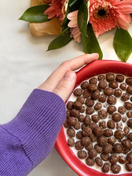 Kellogg's Mini-wheats Cereal Little Bites Chocolate 15.2oz