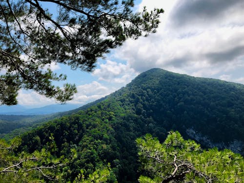 山岳, 木, 空の無料の写真素材