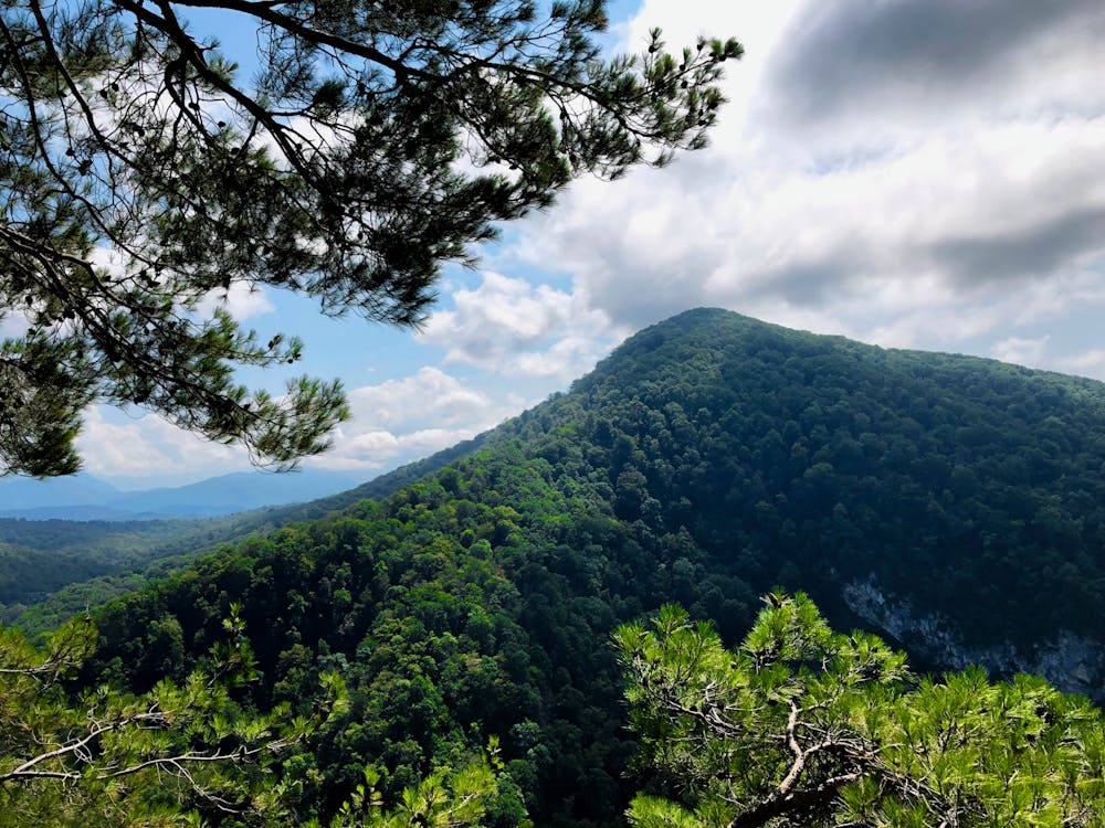 Gratis stockfoto met bergen, bomen, groen