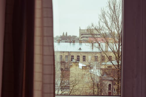 Free stock photo of nostalgic, observing, old photo Stock Photo