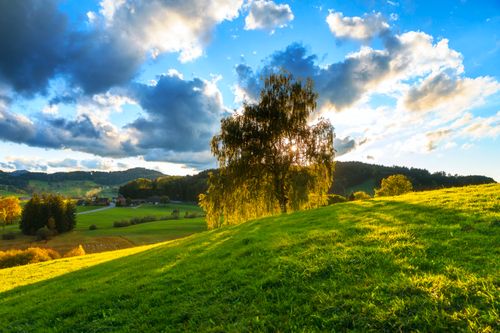 Free Scenic countryside view at sunset in Kirchberg, SG, Switzerland with vibrant fields and a dramatic sky. Stock Photo