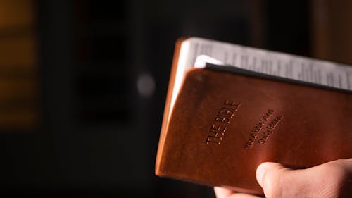 Free A Person Holding Brown Bible Stock Photo