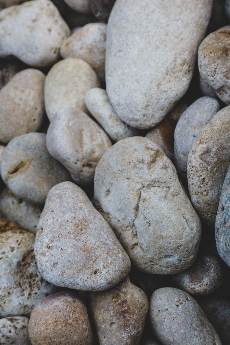 natural river stones, variety in size and shape