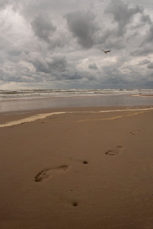 Free stock photo of baltic sea, beach, clouds