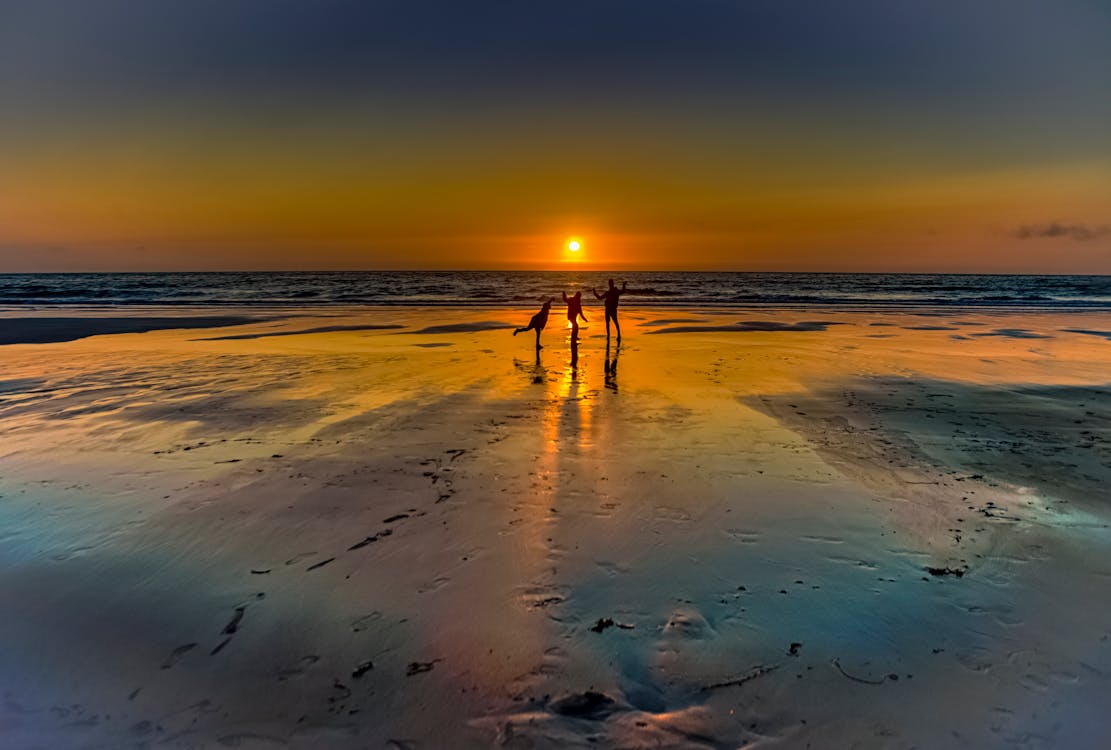 Silhouette of People Walking on Beach during Sunset