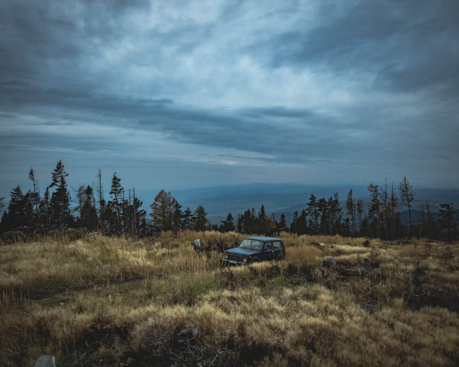 Black Jeep Wrangler Surrounded by Bush