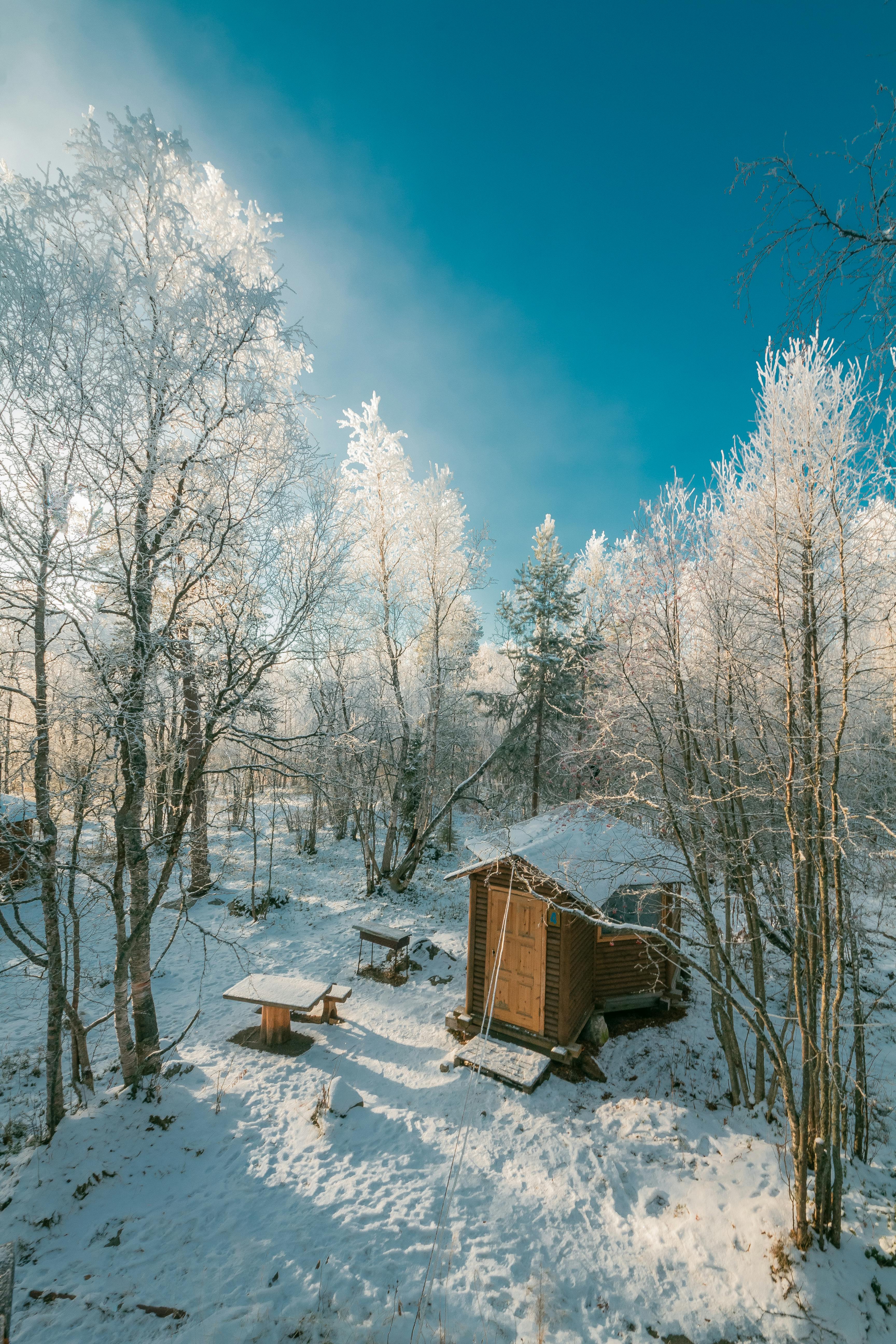 Brown House Near Snow Covered Tree · Free Stock Photo