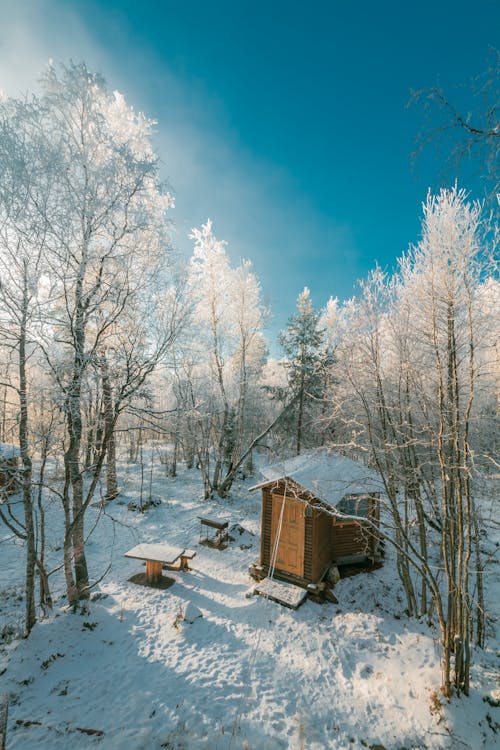 Karla Kaplı Ağacın Yanında Kahverengi Ev