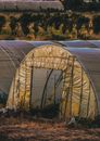An Abandoned Army Base Camps