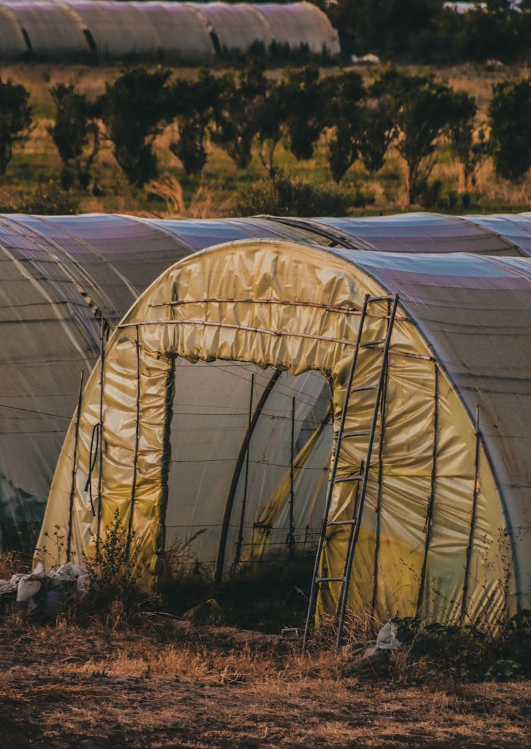 An Abandoned Army Base Camps 