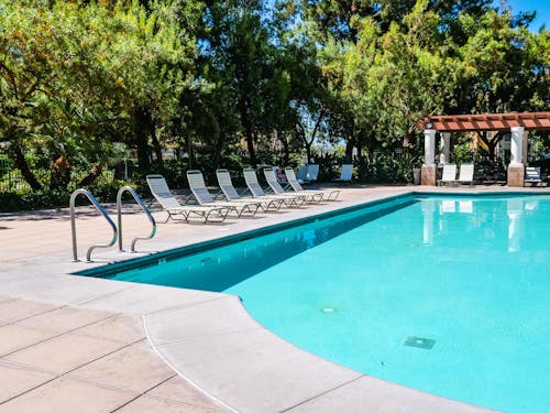 Swimming Pool Near Green Trees With Outdoor Lounge Chairs