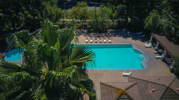 Palm tree and turquoise swimming pool with pool chairs in a villa setting.