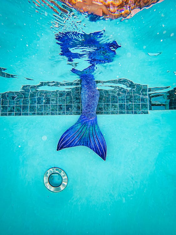 A Mermaid's Tail Underwater