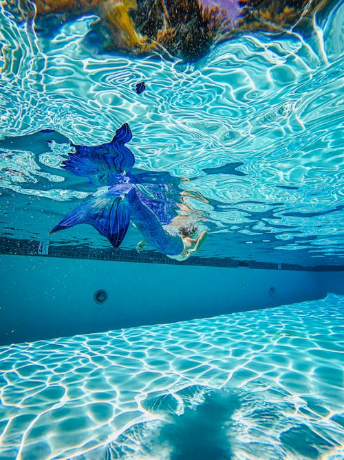 Fotos de stock gratuitas de bajo el agua, brillante, cola