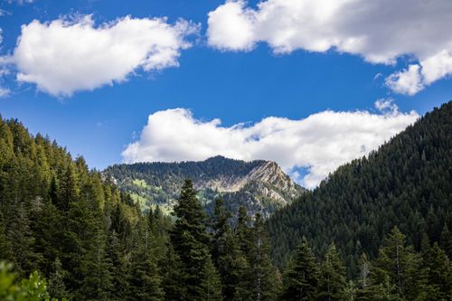 Free Beautiful mountain landscape with pine trees and clouds in Utah, showcasing nature's serene beauty. Stock Photo
