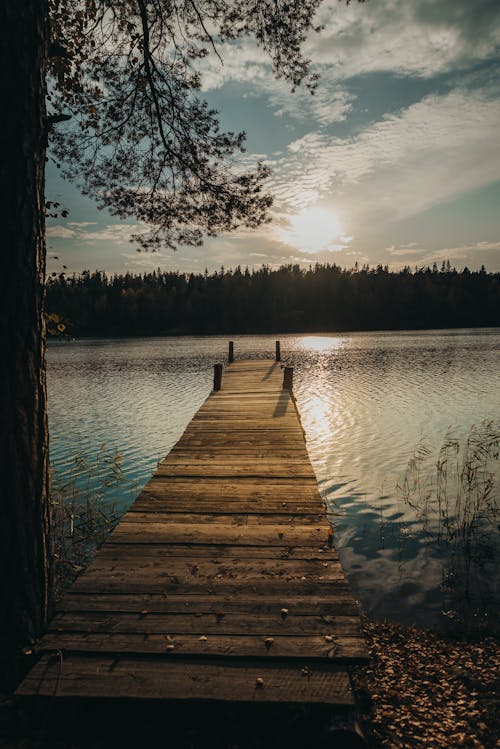 Foto stok gratis bagus, danau, dek