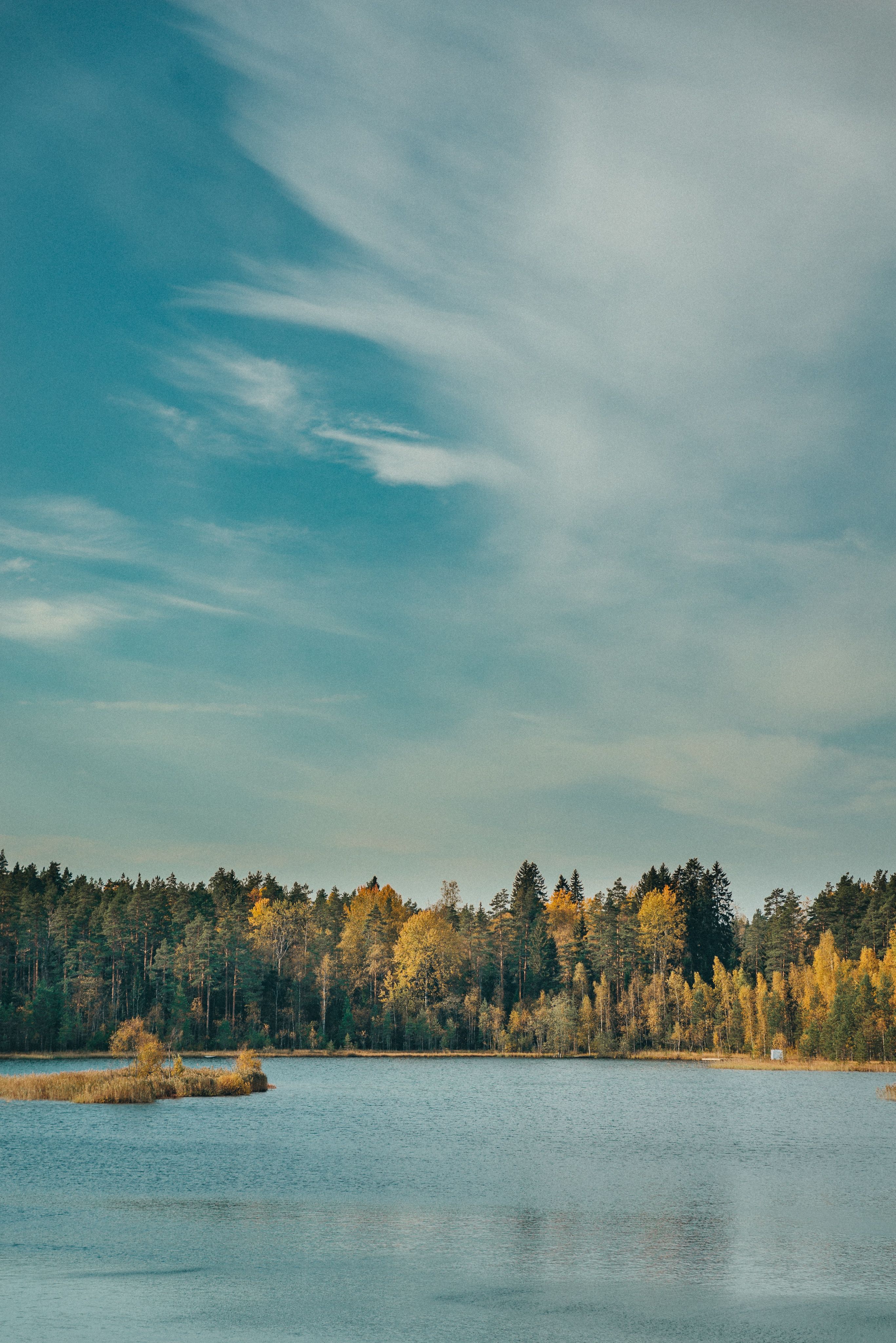 Green Trees Near Body of Water Under Blue Sky · Free Stock Photo