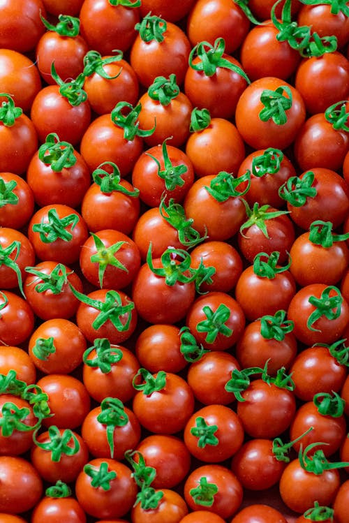 Close-Up Shot of Red Tomatoes