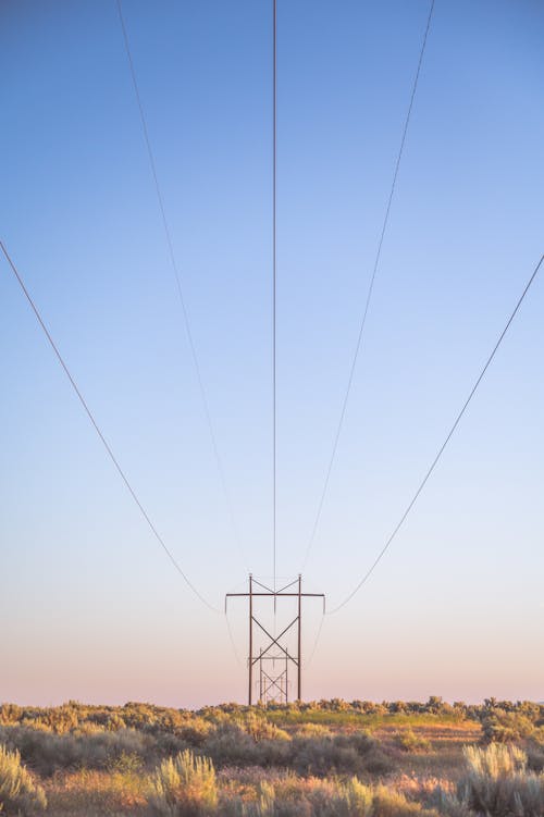 бесплатная Бесплатное стоковое фото с вертикальный выстрел, голубое небо, за городом Стоковое фото