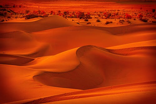 Free Scenic View of a Desert during Sunset Stock Photo