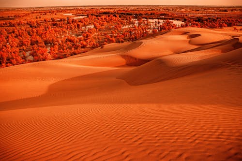 Photograph of a Desert with Brown Sand