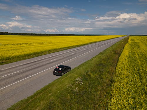 Free stock photo of fields, machine, road