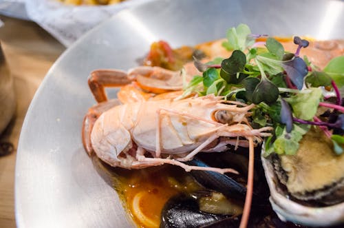 Free Close-Up Shot of Seafood on a Plate Stock Photo