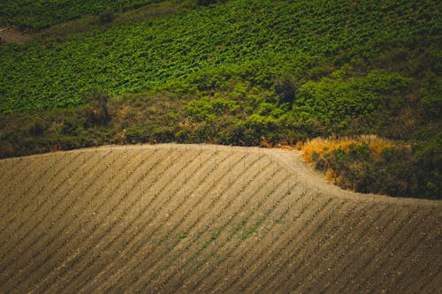 Aerial View of a Farm Field