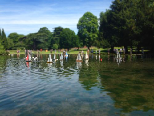 Free stock photo of boats, park, remote controlled boats Stock Photo