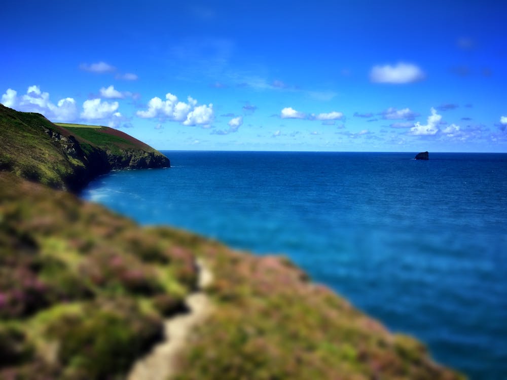 Free stock photo of cliff, sea
