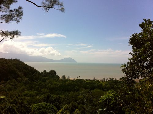 Free stock photo of jungle, sea Stock Photo