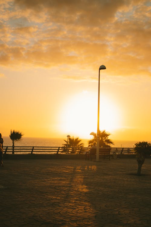 Free A Lamppost on the Seaside  Stock Photo