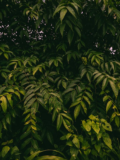 Základová fotografie zdarma na téma cestování, fantasy pozadí, fotka