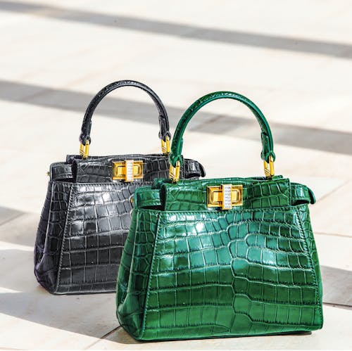 Brown Louis Vuitton Monogram Leather Handbag · Free Stock Photo
