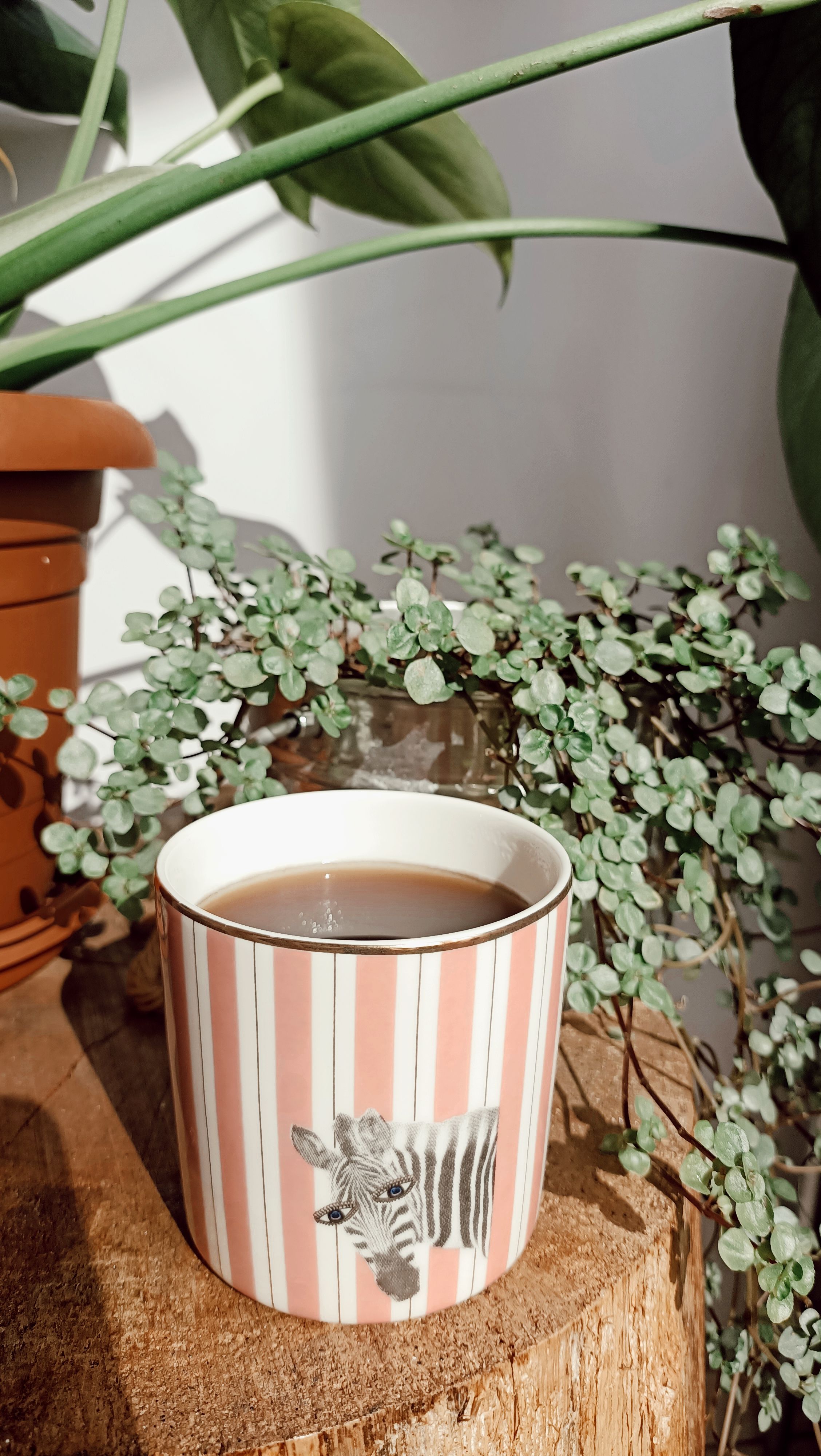 Aesthetic tea cup amidst lush potted plants for a cozy indoor vibe.