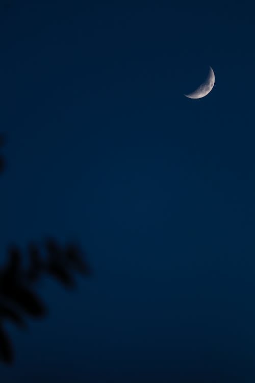 Free Crescent Moon on a Dark Sky Stock Photo