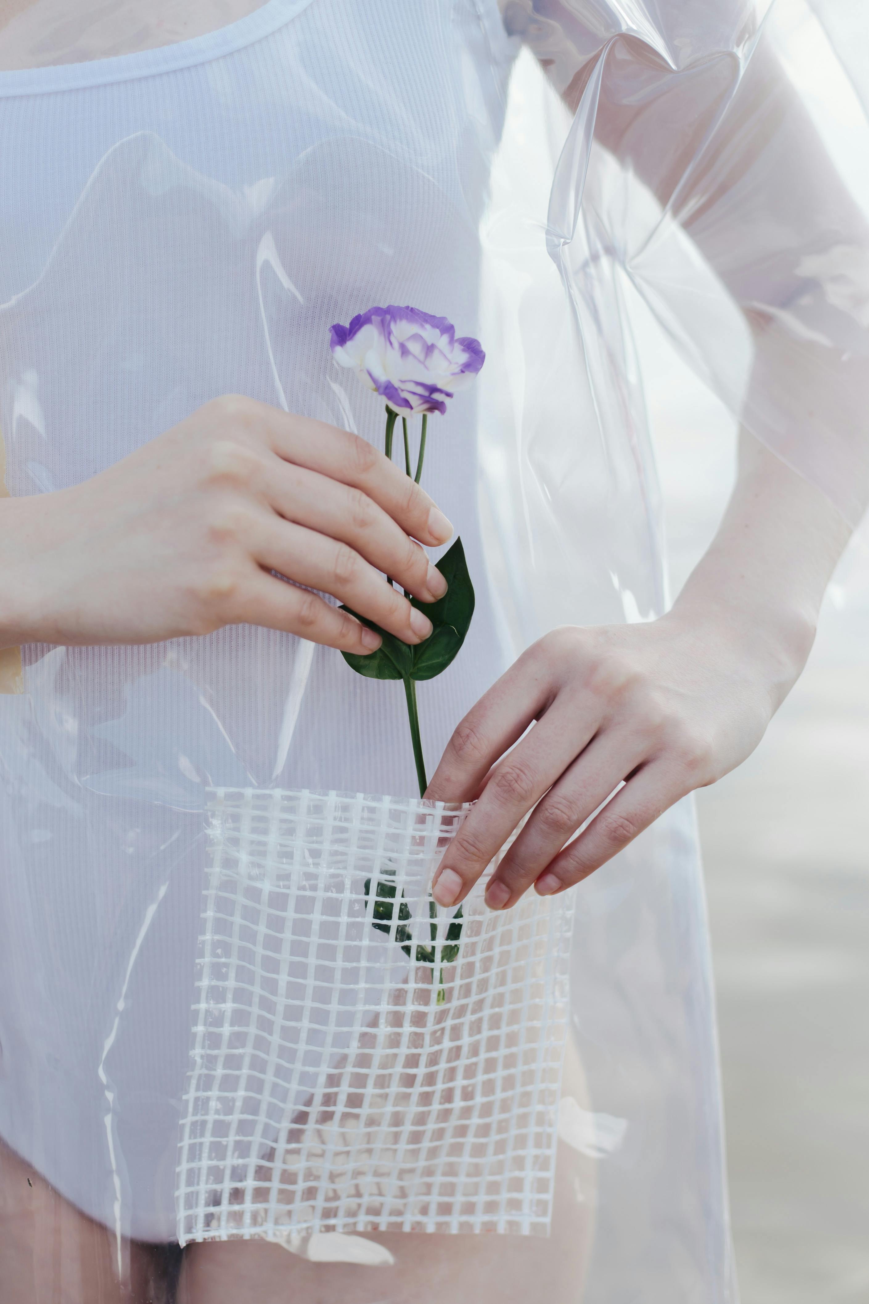 Close-up of a purple flower held by hands through a transparent plastic material against a soft background.