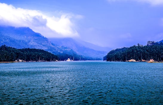 image.mefiz.com