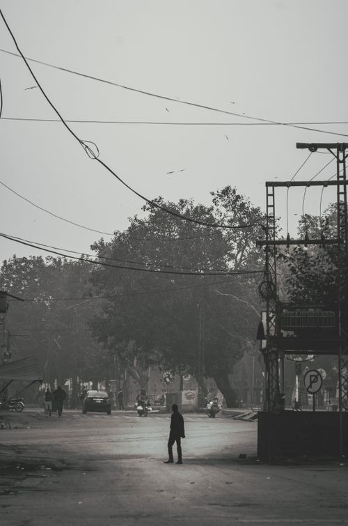 Free Silhouetted pedestrian on an urban street at dusk, featuring a backdrop of trees and electrical wires. Stock Photo