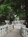 Gray Concrete Outdoor Fountain Near Green Trees