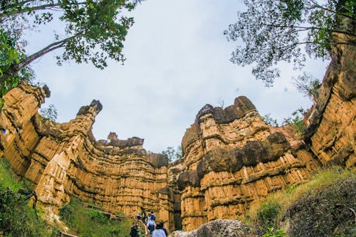 Low Angle View of Brown Ruins Near Green Leaf Trees