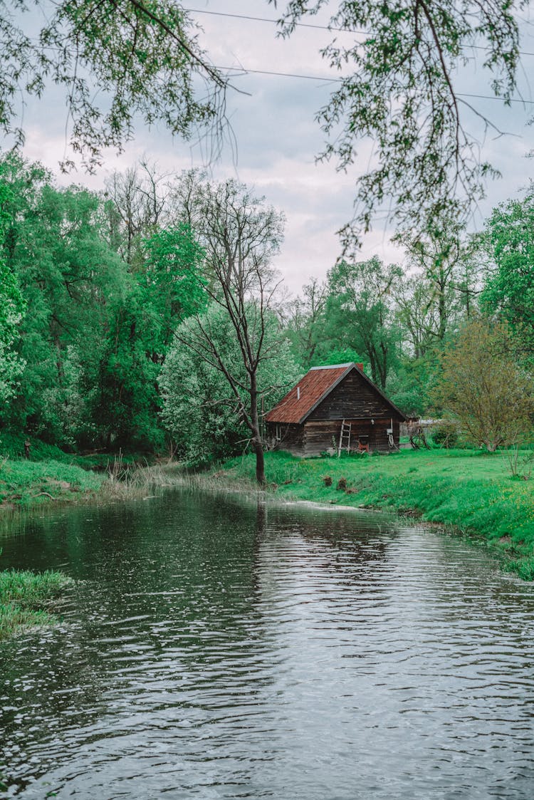 Hut In Forest Near Lake