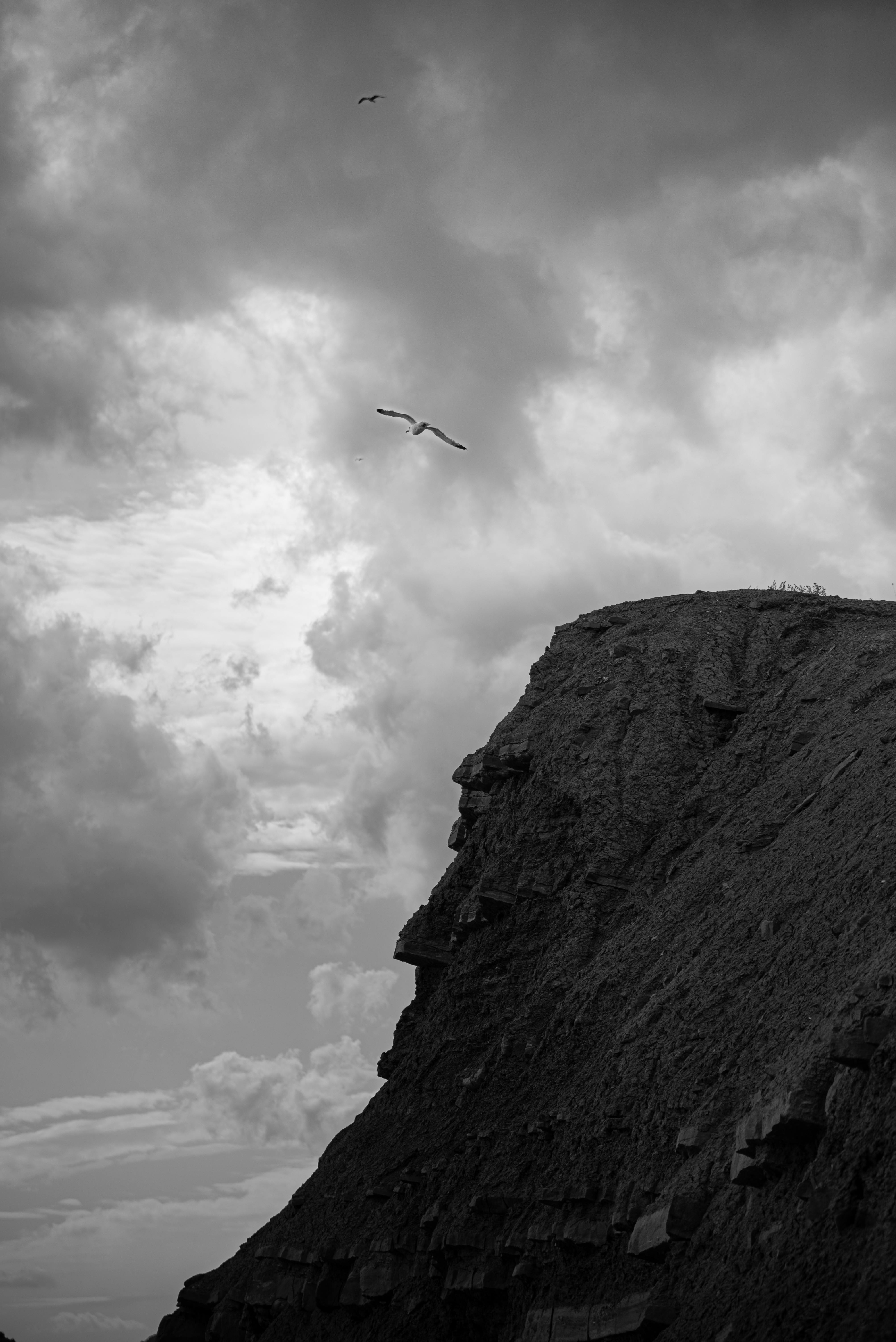 A dramatic black and white cliff scene with flying birds and a cloudy sky.