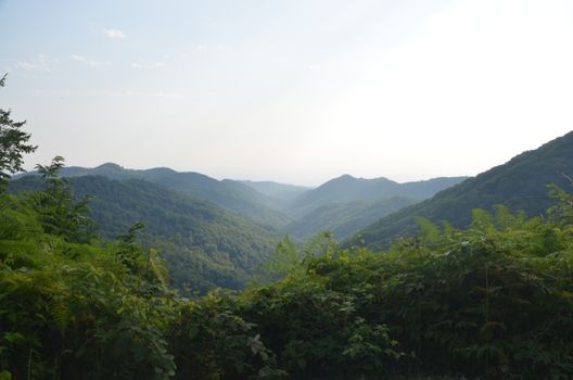 Beautiful mountain vista with lush green trees, hills, and clear sky