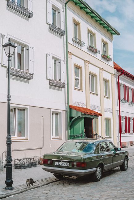 Picturesque street with classic Mercedes car and a cat on cobblestones.